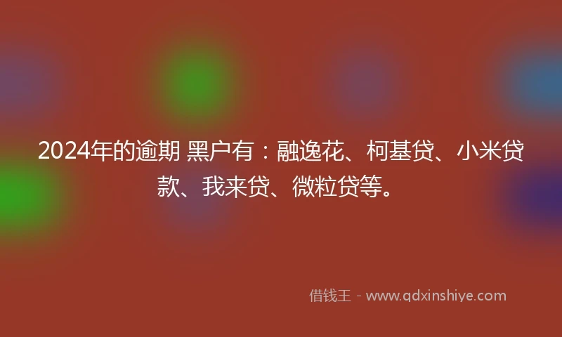 2024年的逾期 黑户有：融逸花、柯基贷、小米贷款、我来贷、微粒贷等。