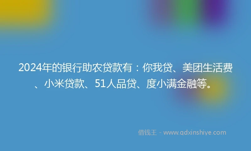 2024年的银行助农贷款有：你我贷、美团生活费、小米贷款、51人品贷、度小满金融等。