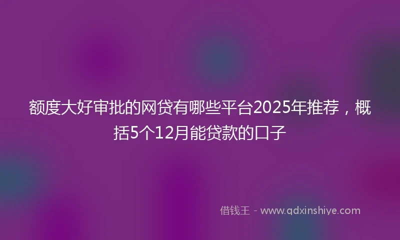 额度大好审批的网贷有哪些平台2025年推荐，概括5个12月能贷款的口子