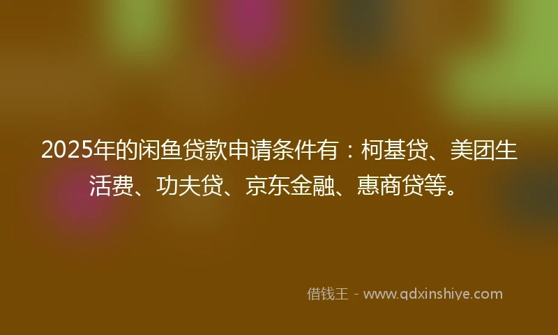 2025年的闲鱼贷款申请条件有：柯基贷、美团生活费、功夫贷、京东金融、惠商贷等。