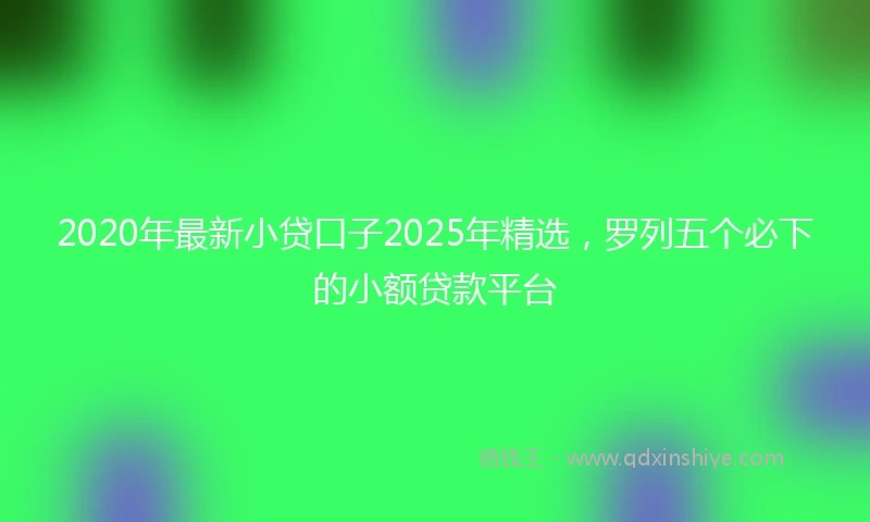 2020年最新小贷口子2025年精选，罗列五个必下的小额贷款平台