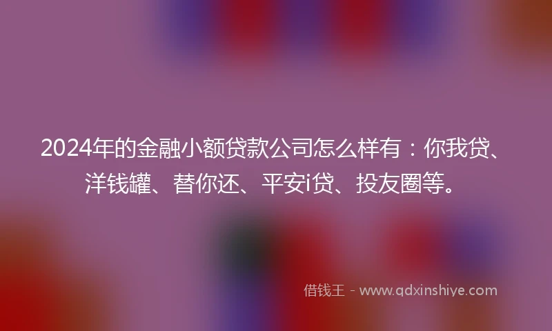 2024年的金融小额贷款公司怎么样有：你我贷、洋钱罐、替你还、平安i贷、投友圈等。
