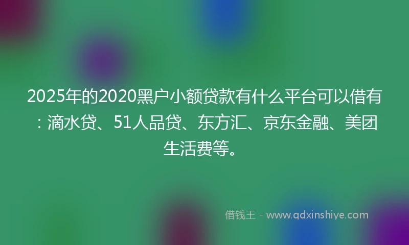 2025年的2020黑户小额贷款有什么平台可以借有：滴水贷、51人品贷、东方汇、京东金融、美团生活费等。