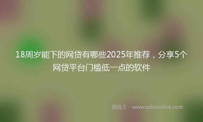 18周岁能下的网贷有哪些2025年推荐，分享5个网贷平台门槛低一点的软件