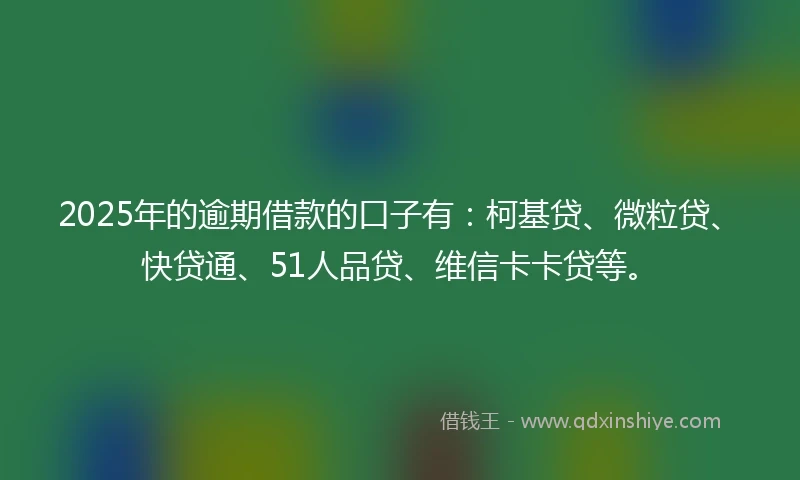 2025年的逾期借款的口子有：柯基贷、微粒贷、快贷通、51人品贷、维信卡卡贷等。