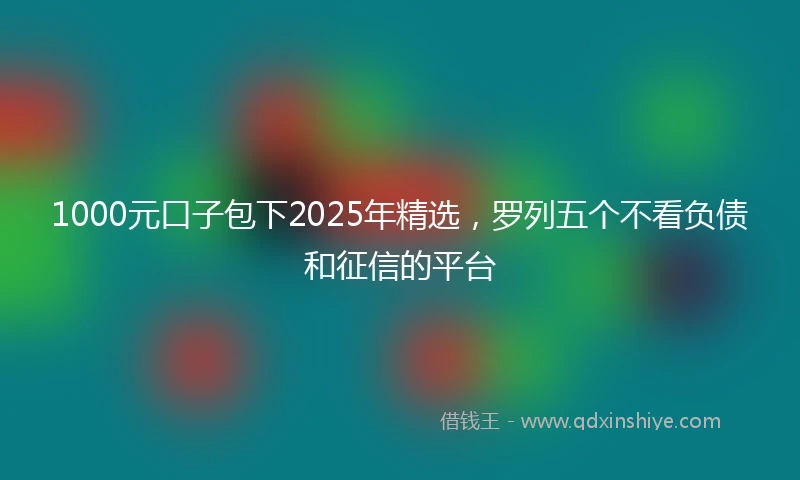 1000元口子包下2025年精选，罗列五个不看负债和征信的平台
