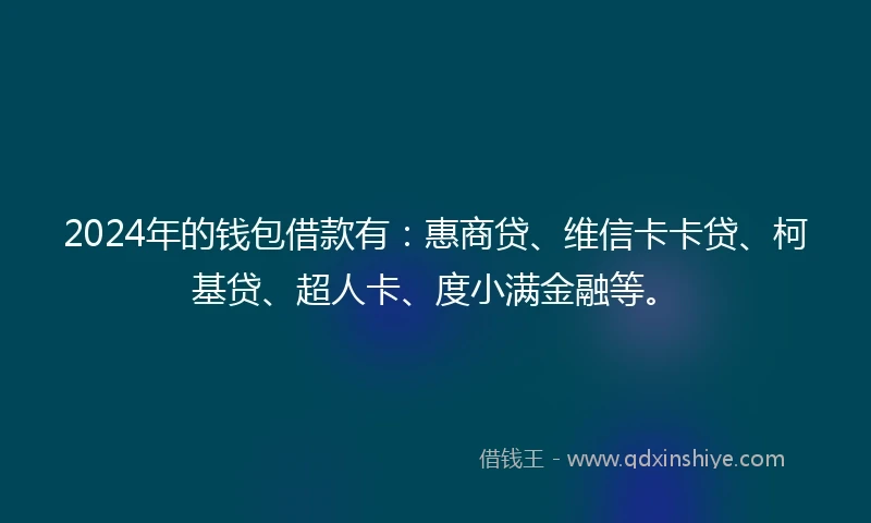 2024年的钱包借款有：惠商贷、维信卡卡贷、柯基贷、超人卡、度小满金融等。