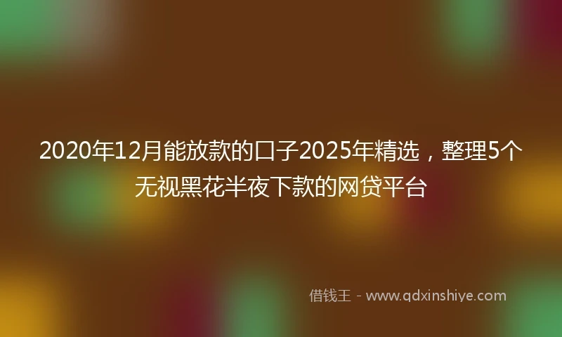 2020年12月能放款的口子2025年精选，整理5个无视黑花半夜下款的网贷平台
