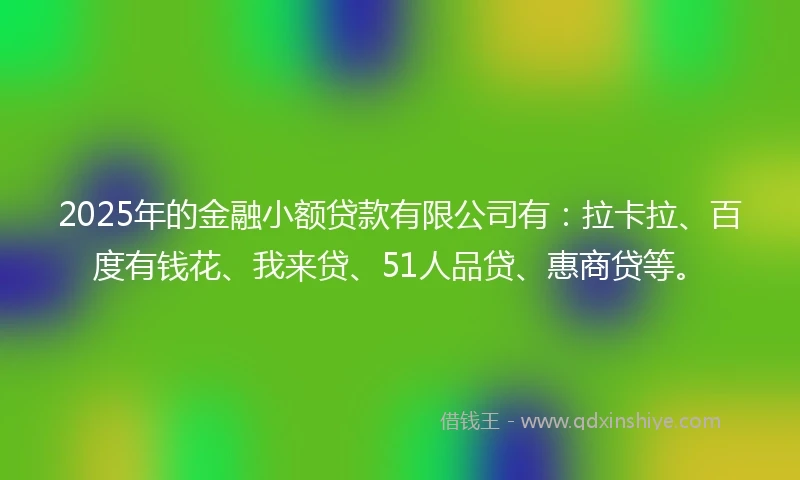 2025年的金融小额贷款有限公司有：拉卡拉、百度有钱花、我来贷、51人品贷、惠商贷等。