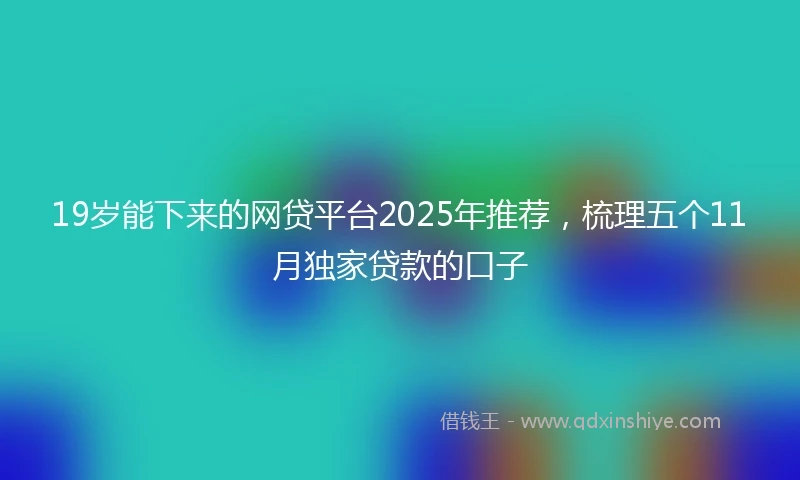 19岁能下来的网贷平台2025年推荐，梳理五个11月独家贷款的口子