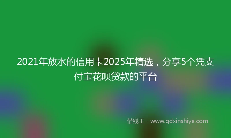 2021年放水的信用卡2025年精选，分享5个凭支付宝花呗贷款的平台
