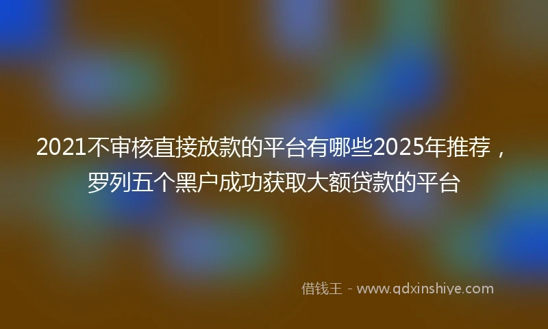 2021不审核直接放款的平台有哪些2025年推荐，罗列五个黑户成功获取大额贷款的平台