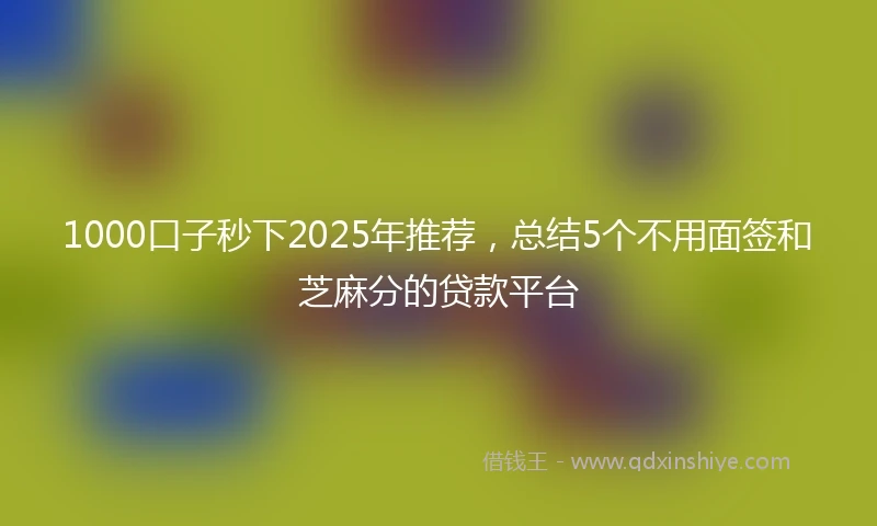 1000口子秒下2025年推荐，总结5个不用面签和芝麻分的贷款平台