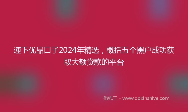 速下优品口子2024年精选，概括五个黑户成功获取大额贷款的平台