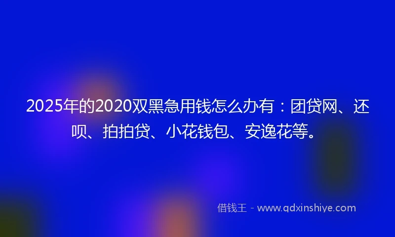 2025年的2020双黑急用钱怎么办有：团贷网、还呗、拍拍贷、小花钱包、安逸花等。
