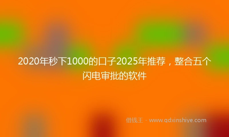 2020年秒下1000的口子2025年推荐，整合五个闪电审批的软件