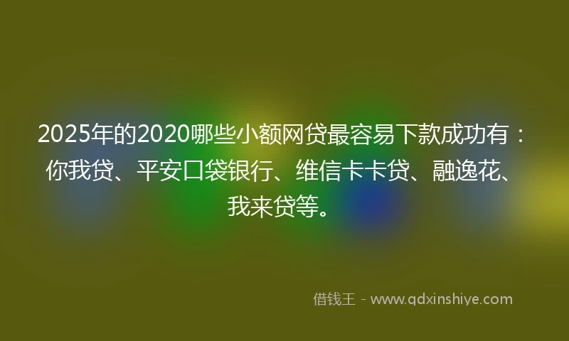 2025年的2020哪些小额网贷最容易下款成功有：你我贷、平安口袋银行、维信卡卡贷、融逸花、我来贷等。