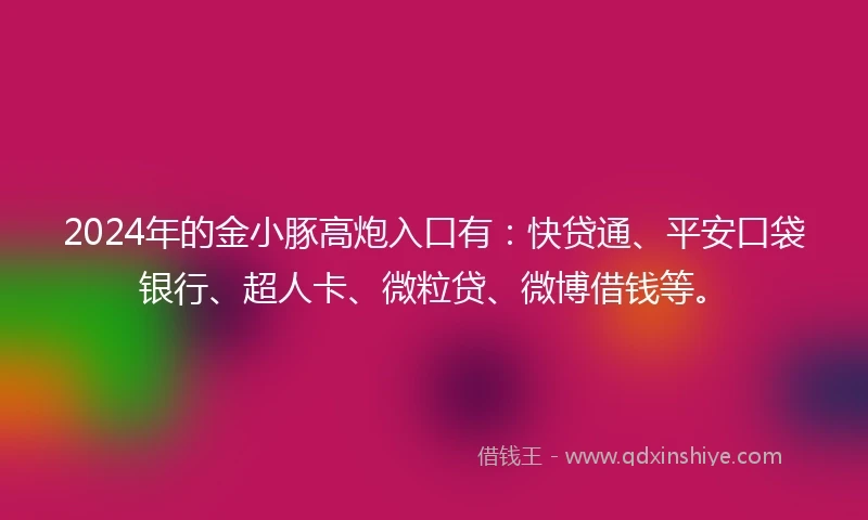 2024年的金小豚高炮入口有：快贷通、平安口袋银行、超人卡、微粒贷、微博借钱等。