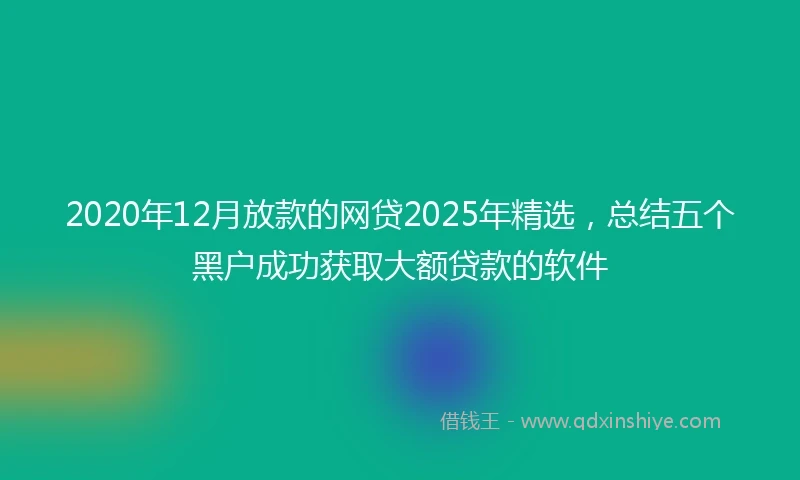 2020年12月放款的网贷2025年精选，总结五个黑户成功获取大额贷款的软件