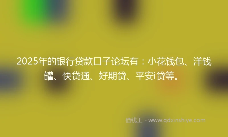 2025年的银行贷款口子论坛有：小花钱包、洋钱罐、快贷通、好期贷、平安i贷等。