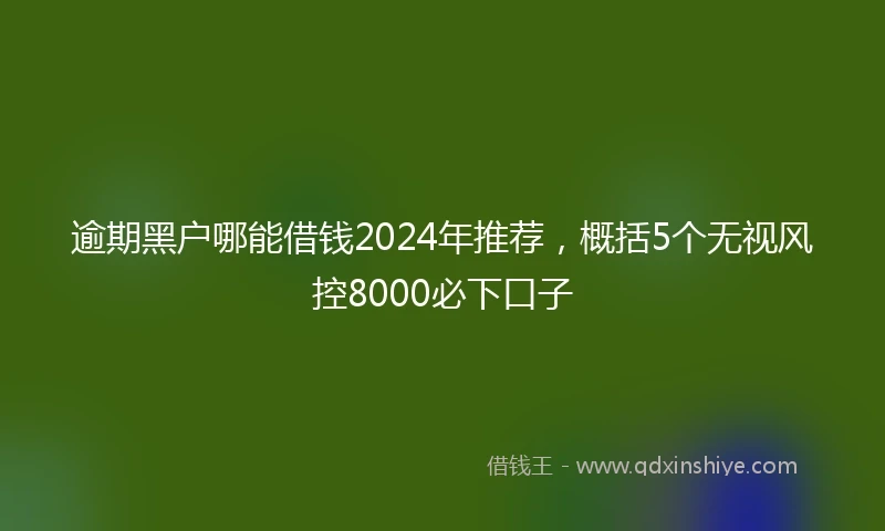 逾期黑户哪能借钱2024年推荐，概括5个无视风控8000必下口子