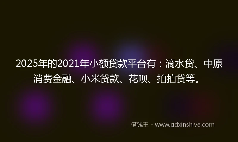 2025年的2021年小额贷款平台有：滴水贷、中原消费金融、小米贷款、花呗、拍拍贷等。