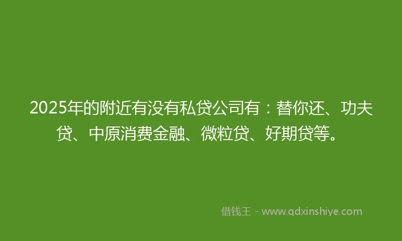 2025年的附近有没有私贷公司有：替你还、功夫贷、中原消费金融、微粒贷、好期贷等。