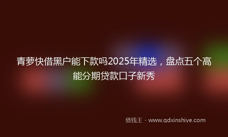 青萝快借黑户能下款吗2025年精选，盘点五个高能分期贷款口子新秀