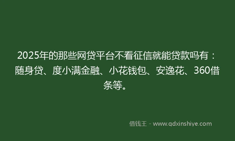 2025年的那些网贷平台不看征信就能贷款吗有：随身贷、度小满金融、小花钱包、安逸花、360借条等。