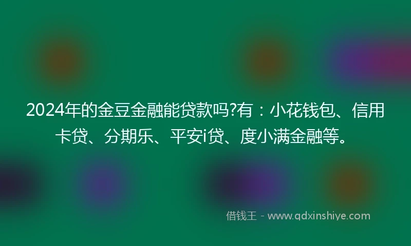 2024年的金豆金融能贷款吗?有：小花钱包、信用卡贷、分期乐、平安i贷、度小满金融等。