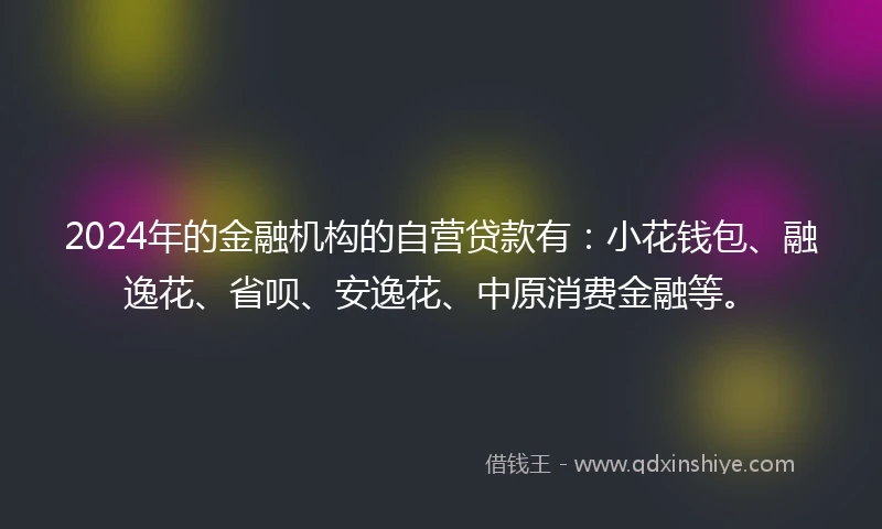 2024年的金融机构的自营贷款有：小花钱包、融逸花、省呗、安逸花、中原消费金融等。