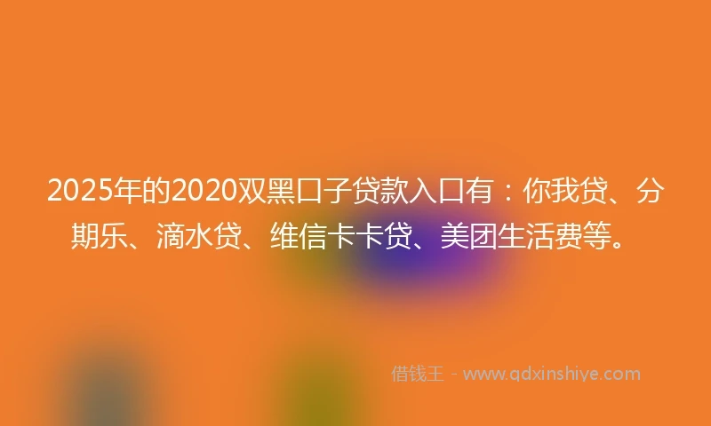 2025年的2020双黑口子贷款入口有：你我贷、分期乐、滴水贷、维信卡卡贷、美团生活费等。
