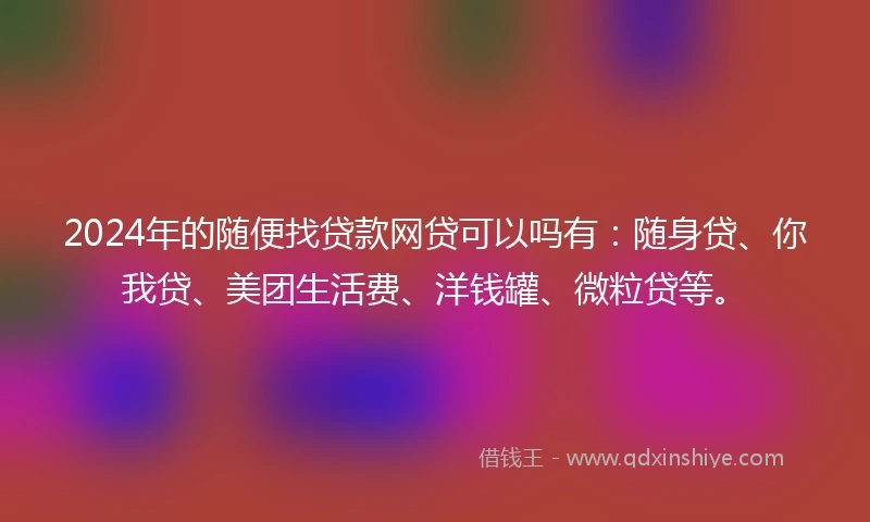 2024年的随便找贷款网贷可以吗有：随身贷、你我贷、美团生活费、洋钱罐、微粒贷等。