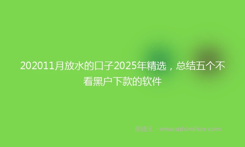 202011月放水的口子2025年精选，总结五个不看黑户下款的软件