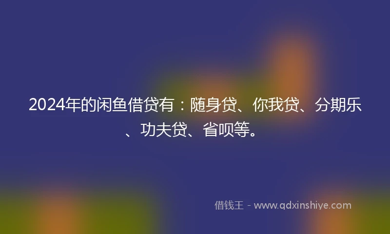 2024年的闲鱼借贷有：随身贷、你我贷、分期乐、功夫贷、省呗等。