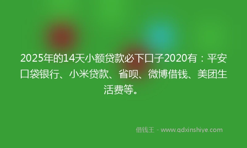 2025年的14天小额贷款必下口子2020有：平安口袋银行、小米贷款、省呗、微博借钱、美团生活费等。