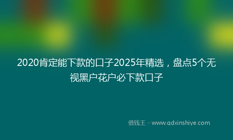 2020肯定能下款的口子2025年精选，盘点5个无视黑户花户必下款口子