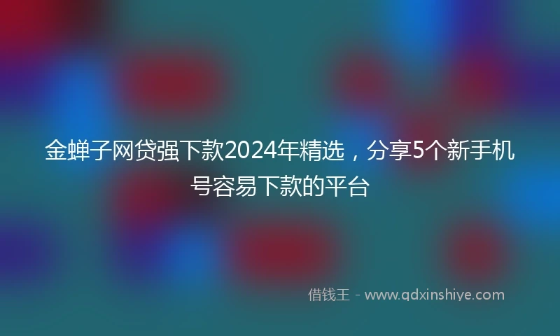 金蝉子网贷强下款2024年精选，分享5个新手机号容易下款的平台