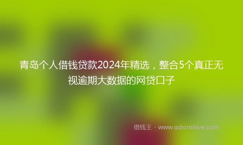 青岛个人借钱贷款2024年精选，整合5个真正无视逾期大数据的网贷口子