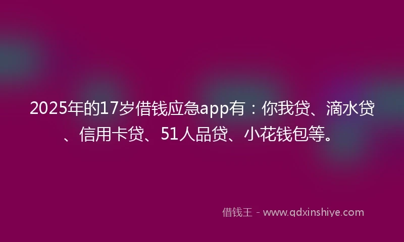 2025年的17岁借钱应急app有：你我贷、滴水贷、信用卡贷、51人品贷、小花钱包等。