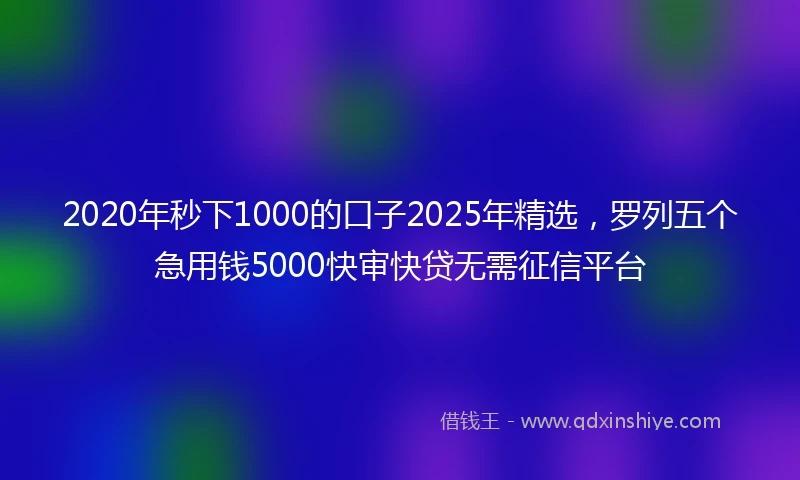 2020年秒下1000的口子2025年精选，罗列五个急用钱5000快审快贷无需征信平台