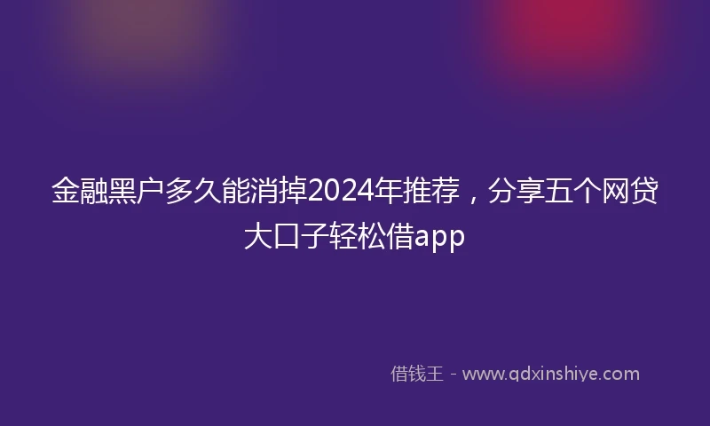 金融黑户多久能消掉2024年推荐，分享五个网贷大口子轻松借app