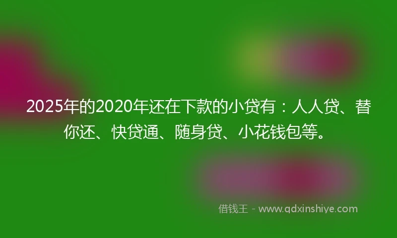 2025年的2020年还在下款的小贷有：人人贷、替你还、快贷通、随身贷、小花钱包等。