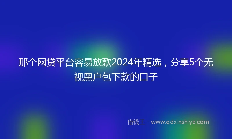 那个网贷平台容易放款2024年精选，分享5个无视黑户包下款的口子