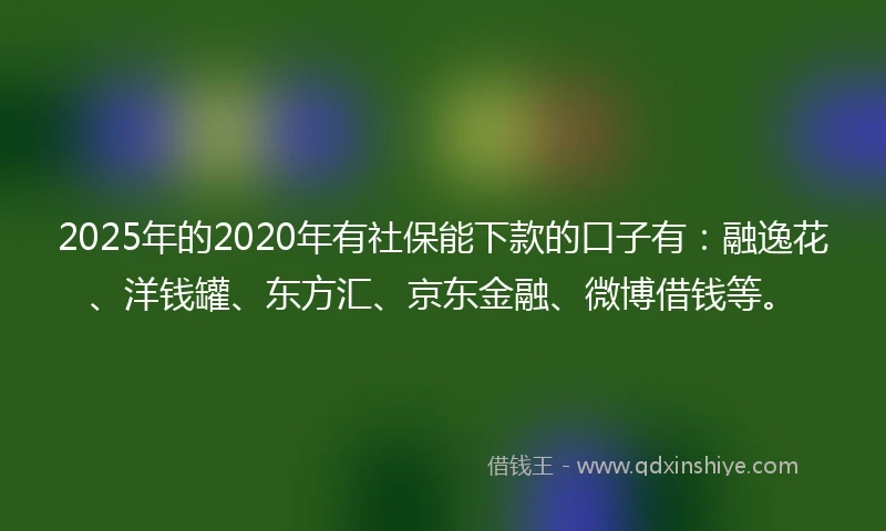 2025年的2020年有社保能下款的口子有：融逸花、洋钱罐、东方汇、京东金融、微博借钱等。