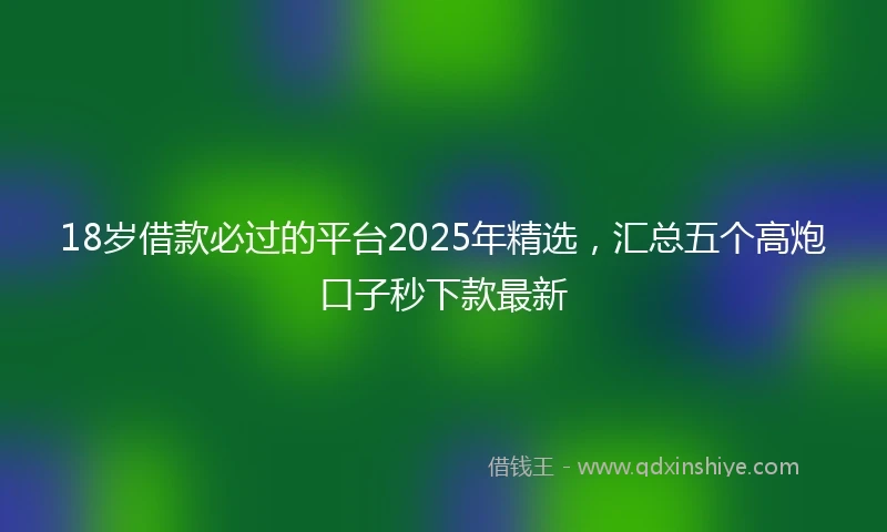 18岁借款必过的平台2025年精选，汇总五个高炮口子秒下款最新