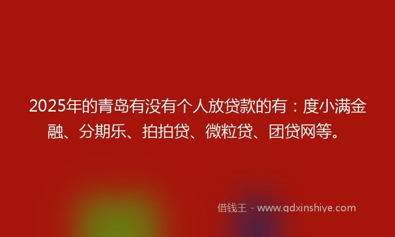 2025年的青岛有没有个人放贷款的有：度小满金融、分期乐、拍拍贷、微粒贷、团贷网等。