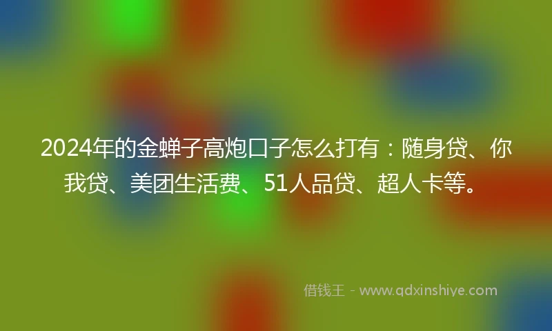 2024年的金蝉子高炮口子怎么打有：随身贷、你我贷、美团生活费、51人品贷、超人卡等。