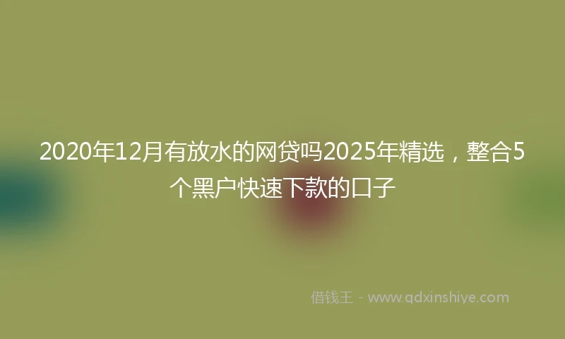 2020年12月有放水的网贷吗2025年精选，整合5个黑户快速下款的口子