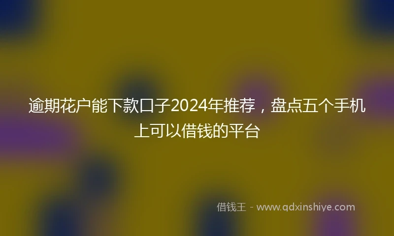 逾期花户能下款口子2024年推荐，盘点五个手机上可以借钱的平台